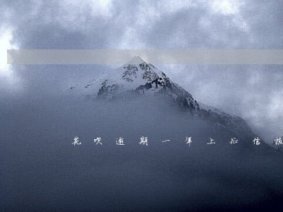 花呗逾期一年上征信报告吗