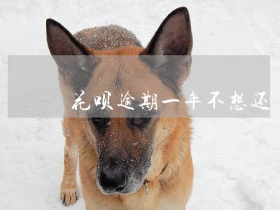花呗逾期一年不想还 花呗逾期一年不想还