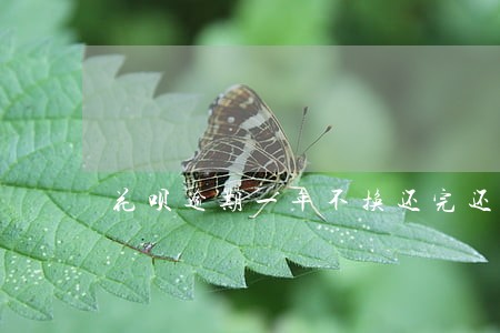 花呗逾期一年不换还完还有额度吗 花呗逾期一年不换还完还有额度吗