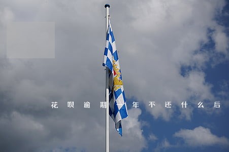 花呗逾期一年不还什么后果 花呗逾期一年不还什么后果