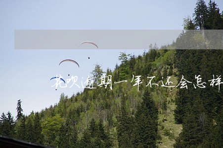 花呗逾期一年不还会怎样 花呗逾期一年不还会怎样