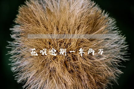 花呗逾期一年两万 花呗逾期一年两万