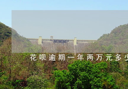 花呗逾期一年两万元多少利息 花呗逾期一年两万元多少利息