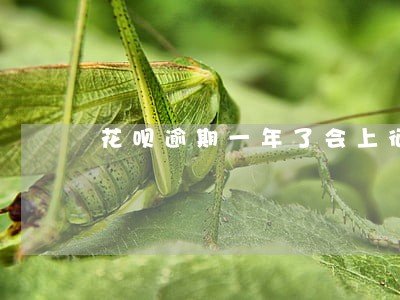 花呗逾期一年了会上征信吗 花呗逾期一年了会上征信吗