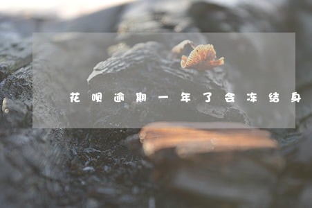 花呗逾期一年了会冻结身份证吗 花呗逾期一年了会冻结身份证吗