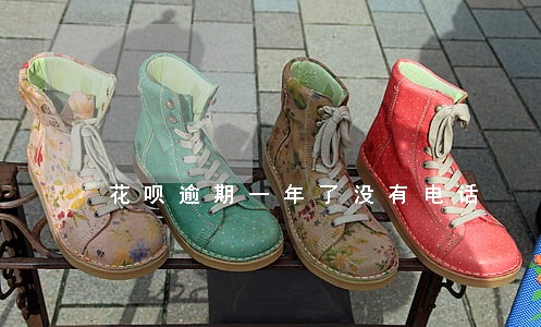 花呗逾期一年了没有电话 花呗逾期一年了没有电话