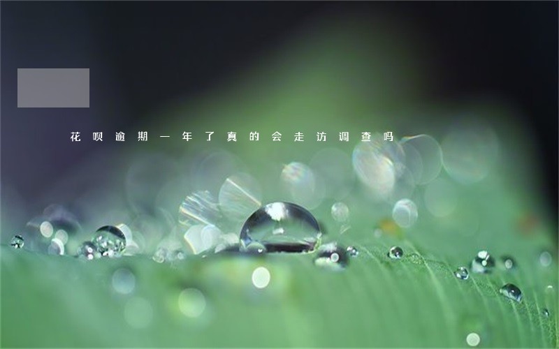 花呗逾期一年了真的会走访调查吗 花呗逾期一年了真的会走访调查吗