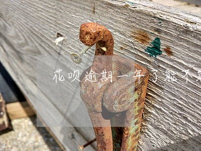 花呗逾期一年了能不能协商分期 花呗逾期一年了能不能协商分期