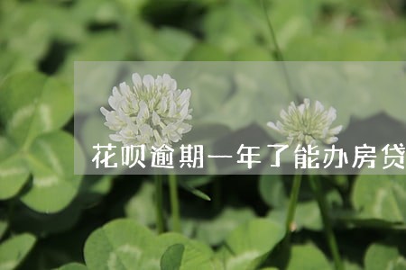 花呗逾期一年了能办房贷吗 花呗逾期一年了能办房贷吗