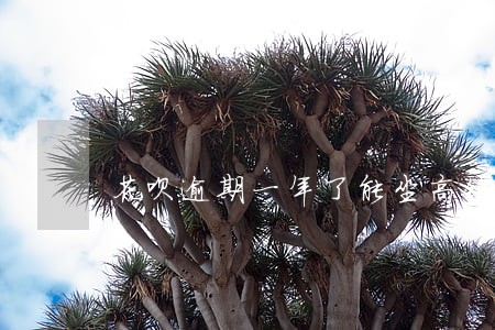 花呗逾期一年了能坐高铁吗 花呗逾期一年了能坐高铁吗