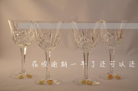 花呗逾期一年了还可以还吗 花呗逾期一年了还可以还吗