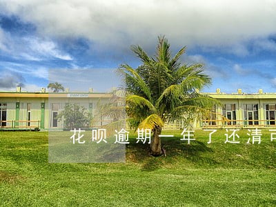 花呗逾期一年了还清可以用吗 花呗逾期一年了还清可以用吗