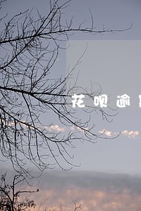 花呗逾期一年了还能上征信吗 花呗逾期一年了还能上征信吗