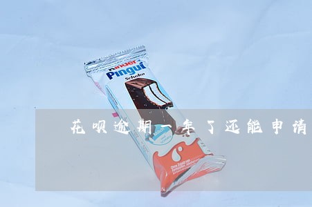 花呗逾期一年了还能申请车贷吗 花呗逾期一年了还能申请车贷吗