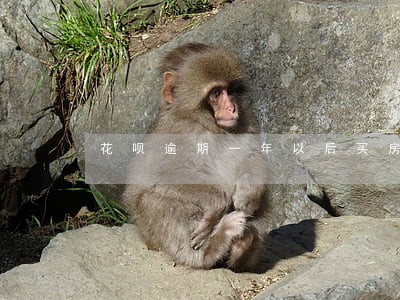 花呗逾期一年以后买房有困难吗 花呗逾期一年以后买房有困难吗