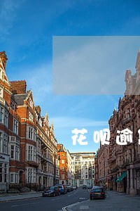 花呗逾期一年以后还款