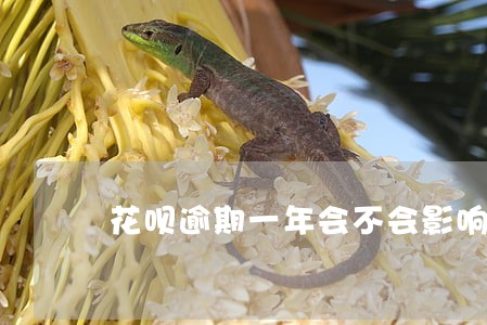 花呗逾期一年会不会影响房贷 花呗逾期一年会不会影响房贷