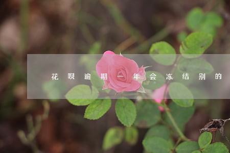 花呗逾期一年会冻结别的账户吗 花呗逾期一年会冻结别的账户吗