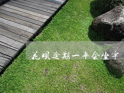 花呗逾期一年会坐牢 花呗逾期一年会坐牢