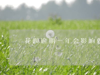 花呗逾期一年会影响做飞机吗
