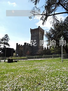 花呗逾期一年会影响助学贷款吗 花呗逾期一年会影响助学贷款吗