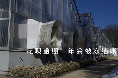 花呗逾期一年会被冻结账户吗 花呗逾期一年会被冻结账户吗