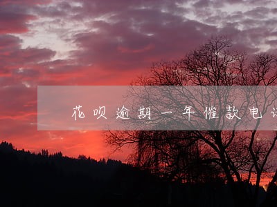 花呗逾期一年催款电话 花呗逾期一年催款电话
