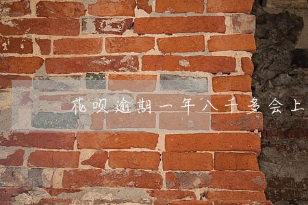 花呗逾期一年八千多会上门吗 花呗逾期一年八千多会上门吗