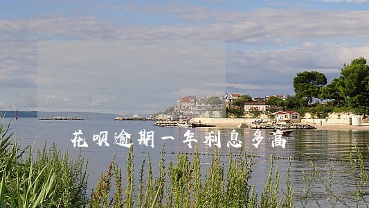 花呗逾期一年利息多高