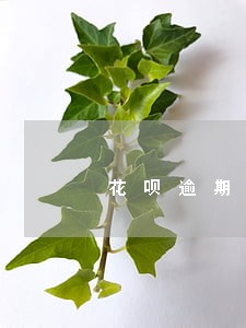 花呗逾期一年利息怎么算