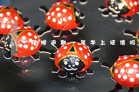 花呗逾期一年半上征信吗 花呗逾期一年半上征信吗