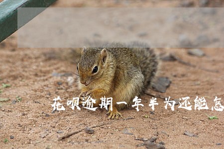 花呗逾期一年半为还能怎么样 花呗逾期一年半为还能怎么样