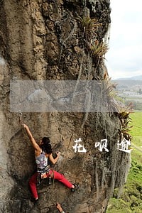 花呗逾期一年半要还多少滞纳金