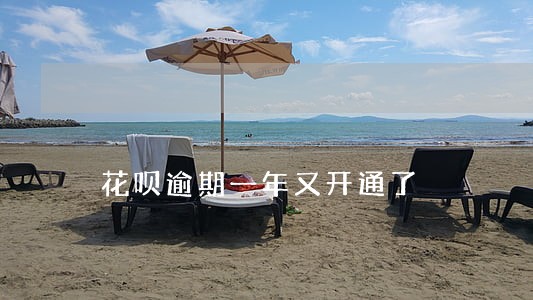 花呗逾期一年又开通了 花呗逾期一年又开通了