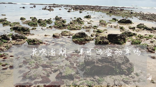 花呗逾期一年可以坐动车吗 花呗逾期一年可以坐动车吗