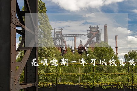 花呗逾期一年可以恢复使用