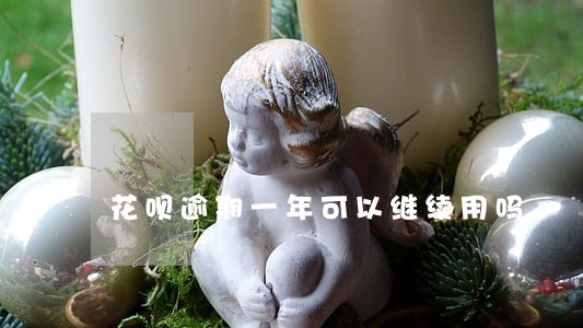花呗逾期一年可以继续用吗 花呗逾期一年可以继续用吗