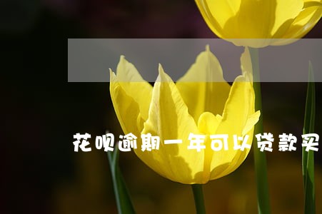 花呗逾期一年可以贷款买房吗 花呗逾期一年可以贷款买房吗