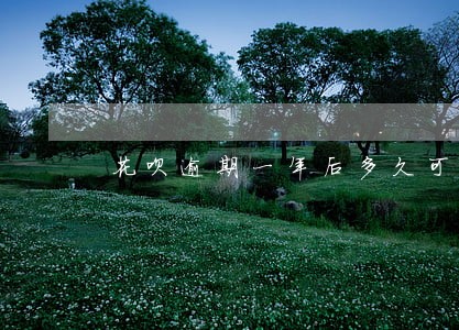 花呗逾期一年后多久可以恢复使用 花呗逾期一年后多久可以恢复使用