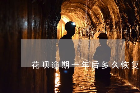 花呗逾期一年后多久恢复正常 花呗逾期一年后多久恢复正常