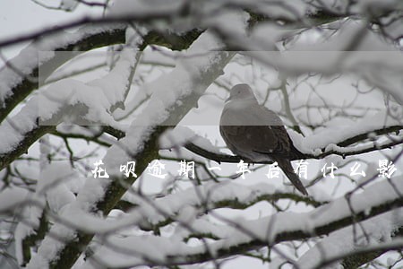 花呗逾期一年后有什么影响 花呗逾期一年后有什么影响