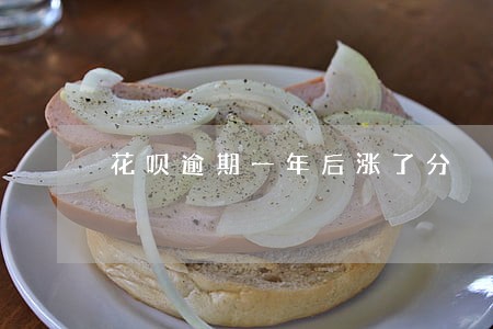 花呗逾期一年后涨了分 花呗逾期一年后涨了分