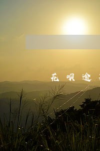 花呗逾期一年后解冻了 花呗逾期一年后解冻了