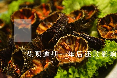 花呗逾期一年后还款影响征信吗 花呗逾期一年后还款影响征信吗