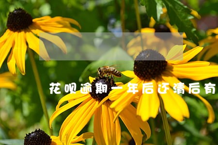 花呗逾期一年后还清后有影响吗 花呗逾期一年后还清后有影响吗