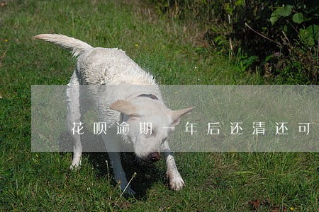 花呗逾期一年后还清还可以恢复吗 花呗逾期一年后还清还可以恢复吗