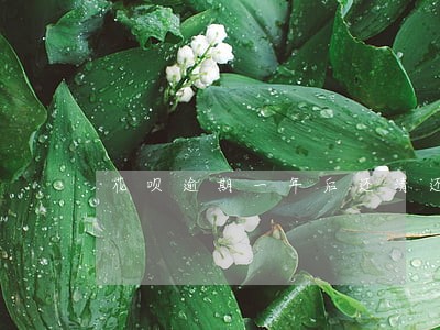 花呗逾期一年后还清还能车贷吗