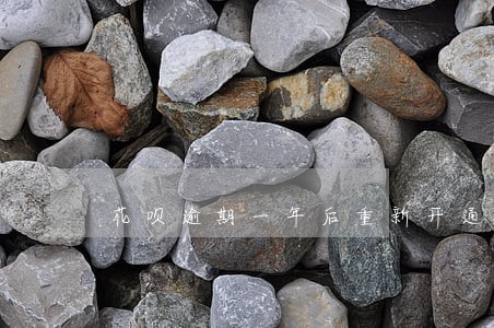 花呗逾期一年后重新开通