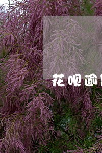 花呗逾期一年在登陆