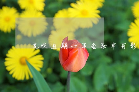 花呗逾期一年坐动车有影响么